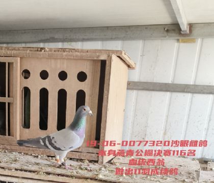 �������๫�����116��11��ɼ�ĸ��