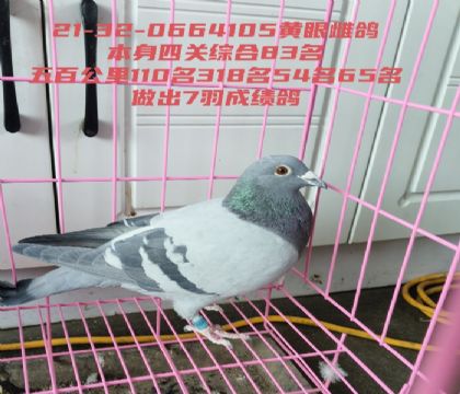 ����������ٹ���54��65����ɼ���ĸ��