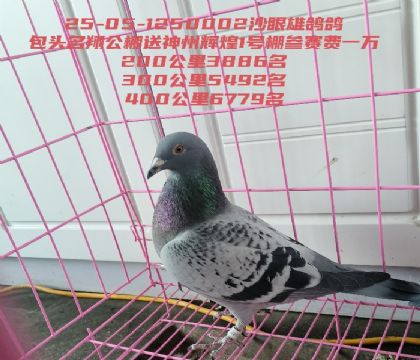 ���蹫�������ݻԻ͹��������