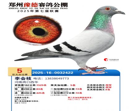 ֣��ԥ�¼�վ��5��