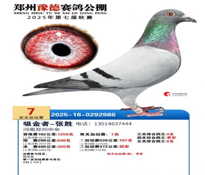 ֣��ԥ�¼�վ��7��