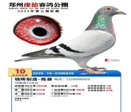 ֣��ԥ�¼�վ��10��