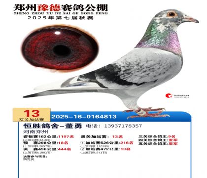 ֣��ԥ�¼�վ��13��