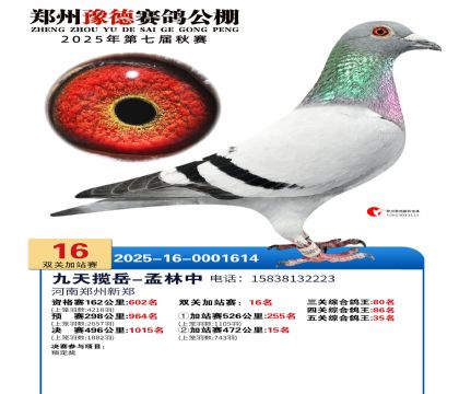 ֣��ԥ�¼�վ��16��