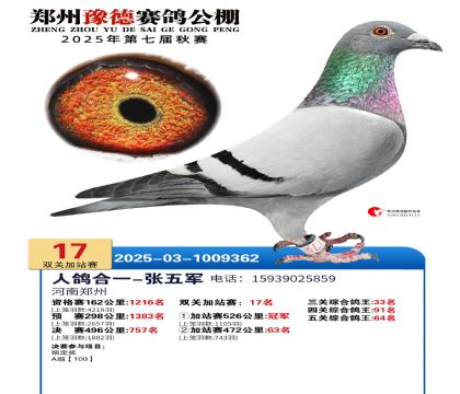 ֣��ԥ�¼�վ��17��