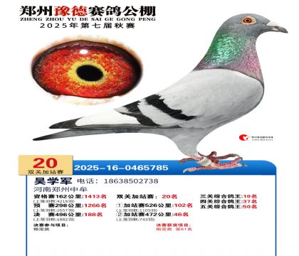 ֣��ԥ�¼�վ��20��