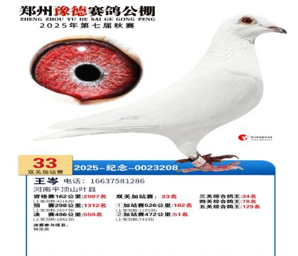 ֣��ԥ�¼�վ��33��