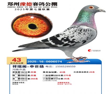 ֣��ԥ�¼�վ��43��