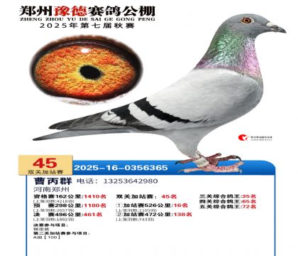 ֣��ԥ�¼�վ��45��