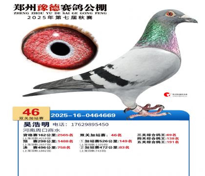 ֣��ԥ�¼�վ��46��