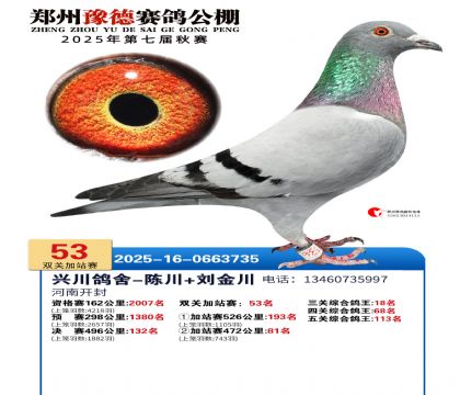 ֣��ԥ�¼�վ��53��