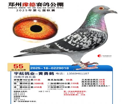 ֣��ԥ�¼�վ��55��