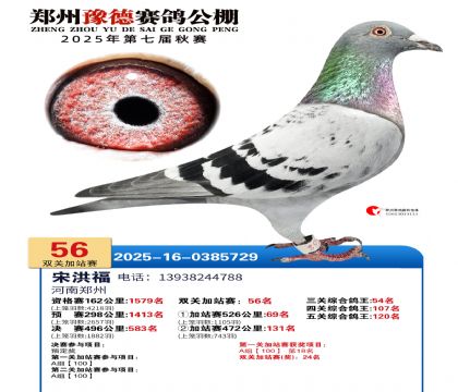 ֣��ԥ�¼�վ��56��