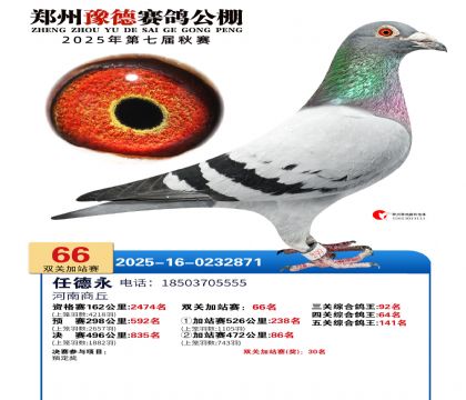 ֣��ԥ�¼�վ��66��