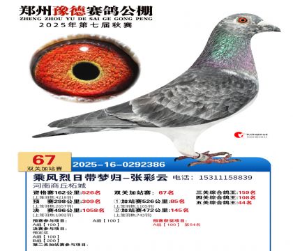 ֣��ԥ�¼�վ��67��