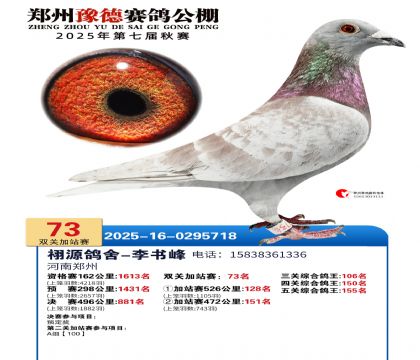 ֣��ԥ�¼�վ��73��