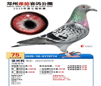 ֣��ԥ�¼�վ��75��