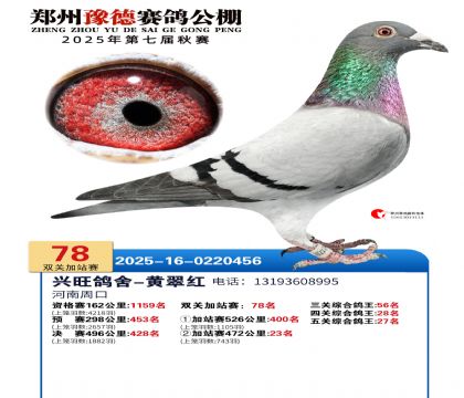 ֣��ԥ�¼�վ��78��