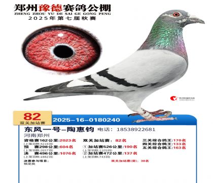 ֣��ԥ�¼�վ��82��