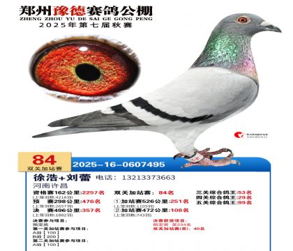 ֣��ԥ�¼�վ��84��