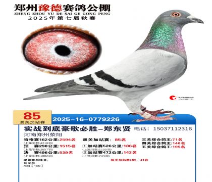 ֣��ԥ�¼�վ��85��