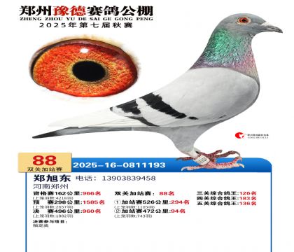 ֣��ԥ�¼�վ��88��