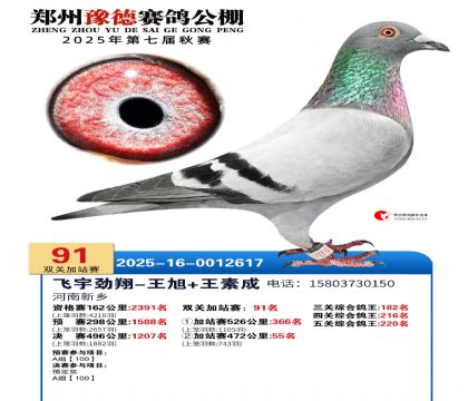 ֣��ԥ�¼�վ��91��