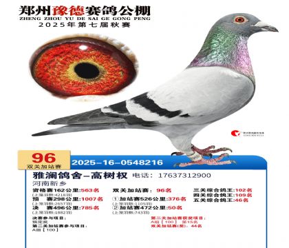 ֣��ԥ�¼�վ��96��