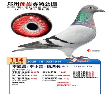 ֣��ԥ�¼�վ��114��