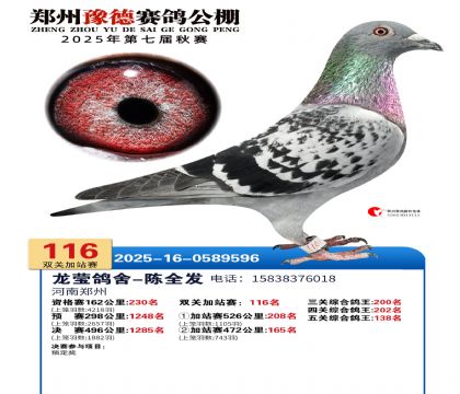 ֣��ԥ�¼�վ��116��