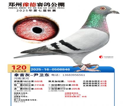 ֣��ԥ�¼�վ��120��