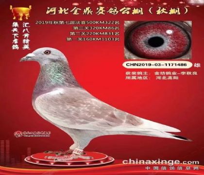 ��ĸ�ҵ�����·���˹������Ԥ��86������322