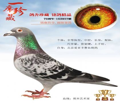 ���գ��������������ҽ��׻�Ѫ957