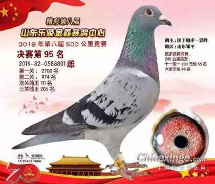 �������95��