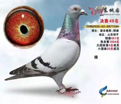 �������48��