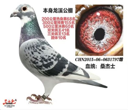 �������60��