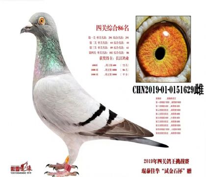 ������ҵ���ҽܷ�ֱ��Ů����̩�ѻ��Ĺظ���86��