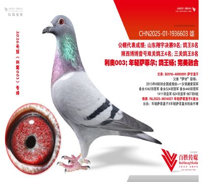 �������-1936603