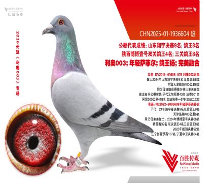 �������9��ƽ��-1936604