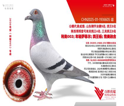 �������9��ƽ��-1936605