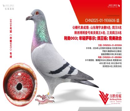 ��������4Ѫϵ-1936606