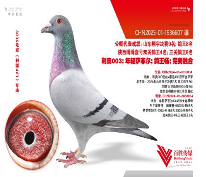 ��������4Ѫϵ-1936607