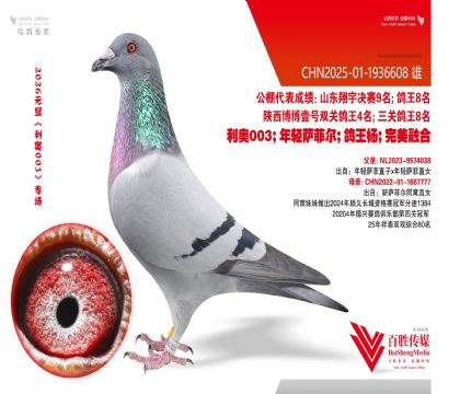 �������ƶ���Ѫ-1936608