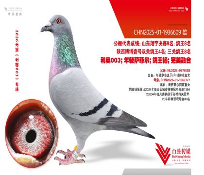 �������ƶ���Ѫ-1936609