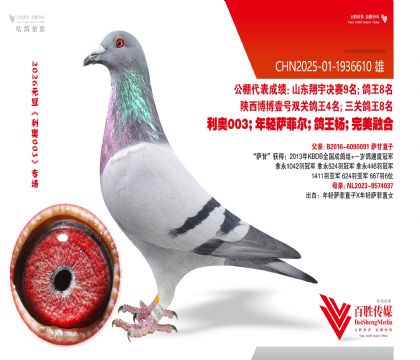 �������-1936610