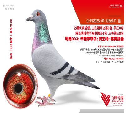 �������-1936611