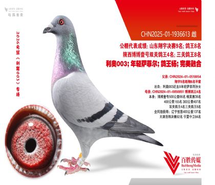 ��������4�Ӵ�-1936613