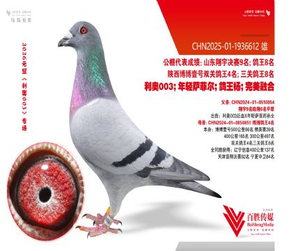 ��������4�Ӵ�-1936612