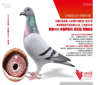 ��������4ȫƽ��-1936614