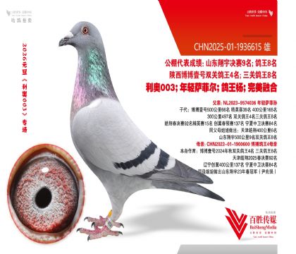 ��������4ȫƽ��-1936615